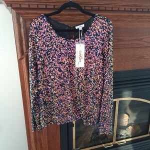 Colorful Sequin Blouse